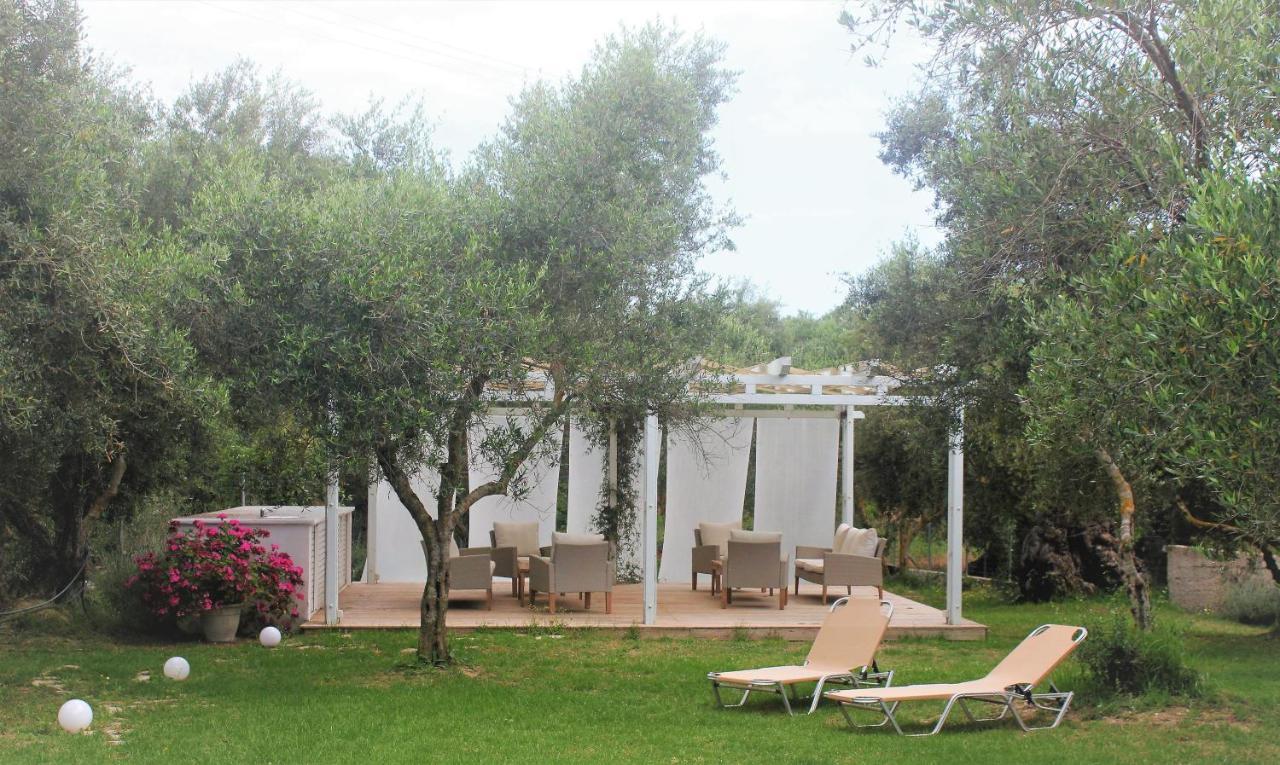 Apartment Rodis Tsilivi (Zakynthos)