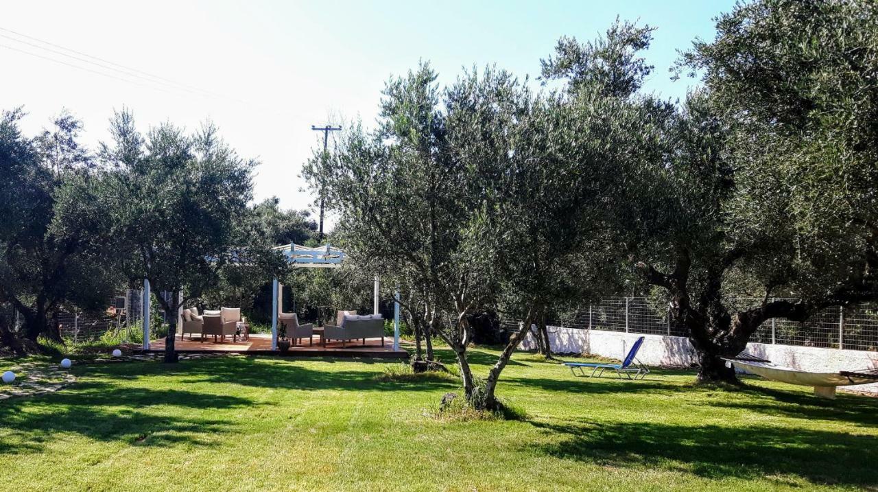 Apartment Rodis Tsilivi (Zakynthos)
